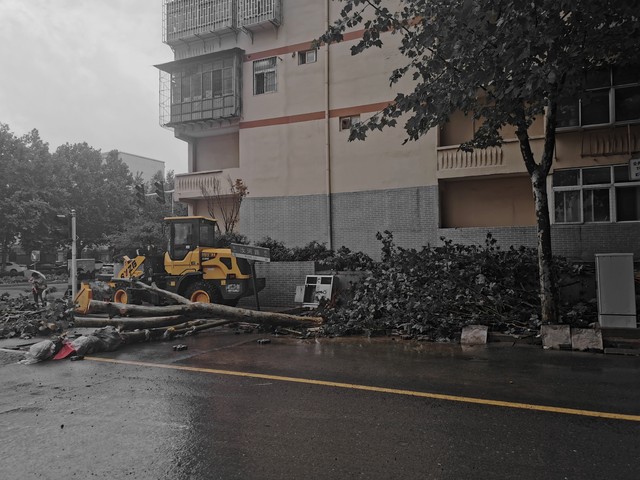 城市暴雨出行攻略_強降雨出行安全提示_出行提示