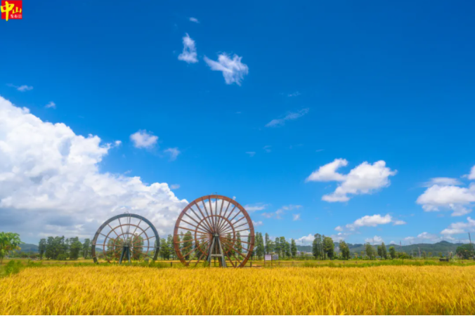 中山臺風預報_中山黑煙車禁行罰款_禁行