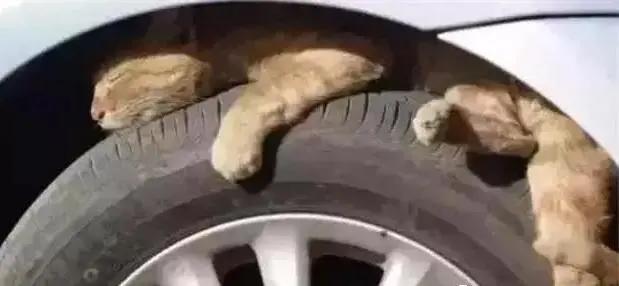 雪天出行指南_雪天駕車安全技巧_出行提示