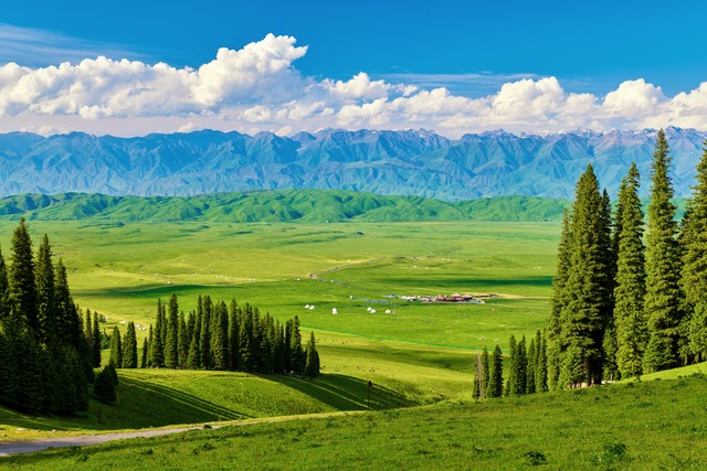 2026新車牌改革_8位號牌分類標識_限行