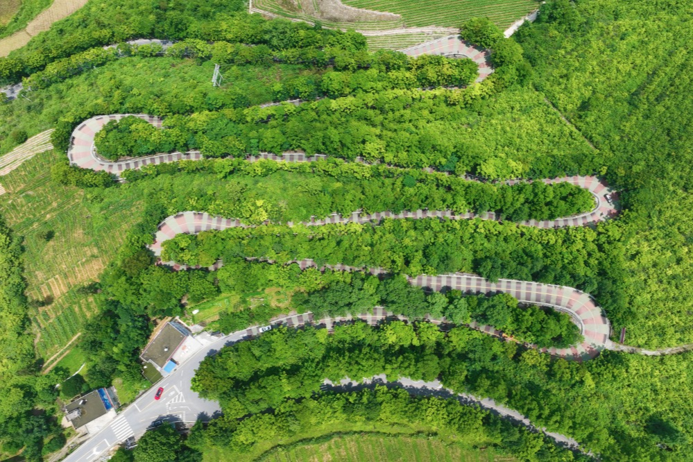 農(nóng)村道路交通安全提示_出行提示_駕駛?cè)顺鲂邪踩?/></p>

<p>駕駛?cè)似?/p>
<p>農(nóng)村道路出行安全提示</p>
<p>出車之前要對(duì)車況展開檢查，圍繞車輛走上一圈，對(duì)胎壓進(jìn)行檢查，對(duì)燈光加以檢查，對(duì)剎車予以檢查，以此來保證車況處于良好的狀態(tài)。</p>
<p>第②點(diǎn)，一盔一帶，安全常在，不管是駕駛小轎車，還是乘坐車輛當(dāng)中的前排，或者后排，所駕乘人員都必須系好安全帶，騎乘摩托車、電動(dòng)車時(shí)，請(qǐng)正確佩戴合格的安全頭盔，對(duì)于拖拉機(jī)、三輪車，車尾務(wù)必一定要貼好反光貼，用以提示后車避開避免追尾。</p>

<p>要守法，做到文明出行，不進(jìn)行無證的駕駛行為，不酒后駕車，不超員超載，不非法載人，不疲勞駕駛，遵守交通安全法律法規(guī)，從而文明出行 。</p>
<p>④駕車出行之際，心態(tài)需保持那種平和的狀態(tài) ，視線要朝著遠(yuǎn)處去放 。碰到農(nóng)用車 ，碰到三輪車 ，要懷揣耐心去跟隨 ，挑選安全地段之后再超車 。路過村口時(shí) ，經(jīng)過路口時(shí) ，穿過巷口時(shí) ，務(wù)必要提前降低速度 ，并且鳴響喇叭 。</p>

<p>行人篇</p>
<p>農(nóng)村道路出行安全提示</p>
<p>步行之際，當(dāng)盡可能游走于硬化路面之邊緣地帶或者專門設(shè)置之人行通道上面，需避開那些存在坑洼以及破損狀況的路段，并且要沿著邊緣行走；而當(dāng)路過路口、彎道、坡頂?shù)葘儆谝暰€盲區(qū)的區(qū)域之時(shí)，務(wù)必要格外留意進(jìn)行觀察。</p>
<p><img src=