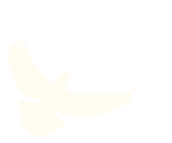 出行提示_定安2025國(guó)慶中秋出行安全攻略_定安國(guó)慶中秋道路交通安全提示