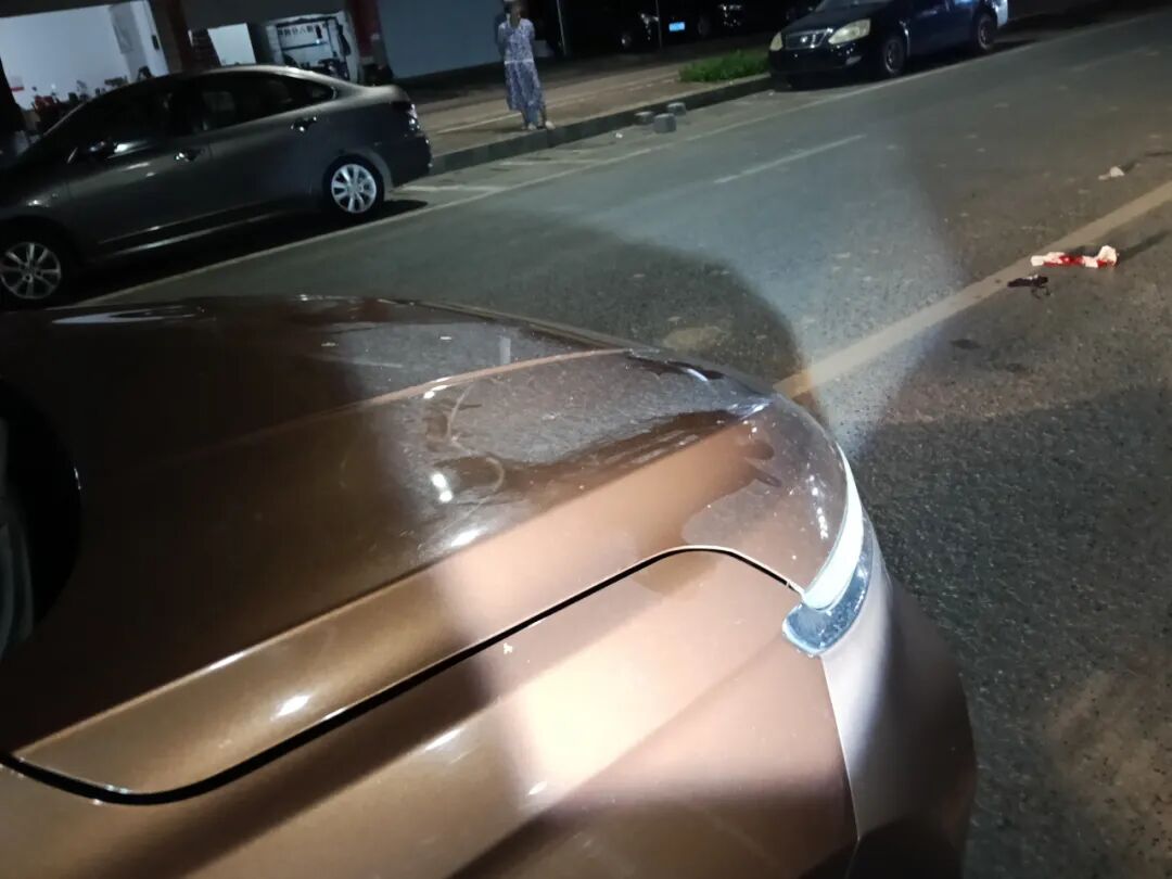 路況_行車安全注意事項_駕駛觀察禮讓行人