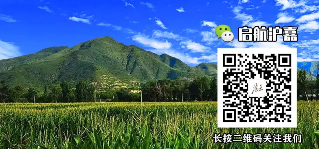 出行提示_滬嘉鄉(xiāng)交通安全提示_道路冰雪黃色預警