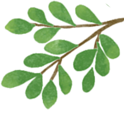 學(xué)生交通安全注意事項(xiàng)_開(kāi)學(xué)季交通安全出行提示_出行提示