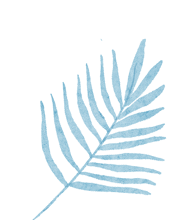 出行提示_冬季延邊降雪天氣預(yù)報(bào)_雪天行車(chē)安全指南