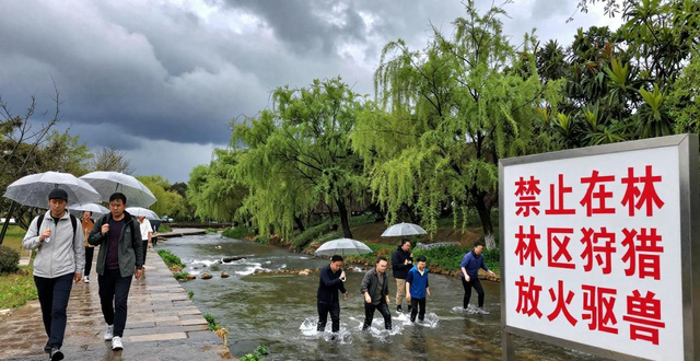 春季出行安全_出行提示_注意野外用火